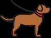 Dog Walking