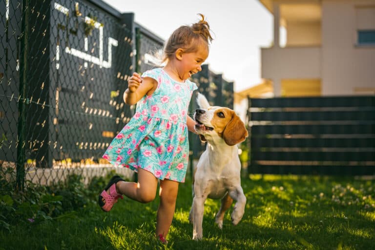 Poop Free Backyard Enjoyment