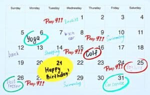 Schedule A Yard Deodorizing Fresh Smelling Yard