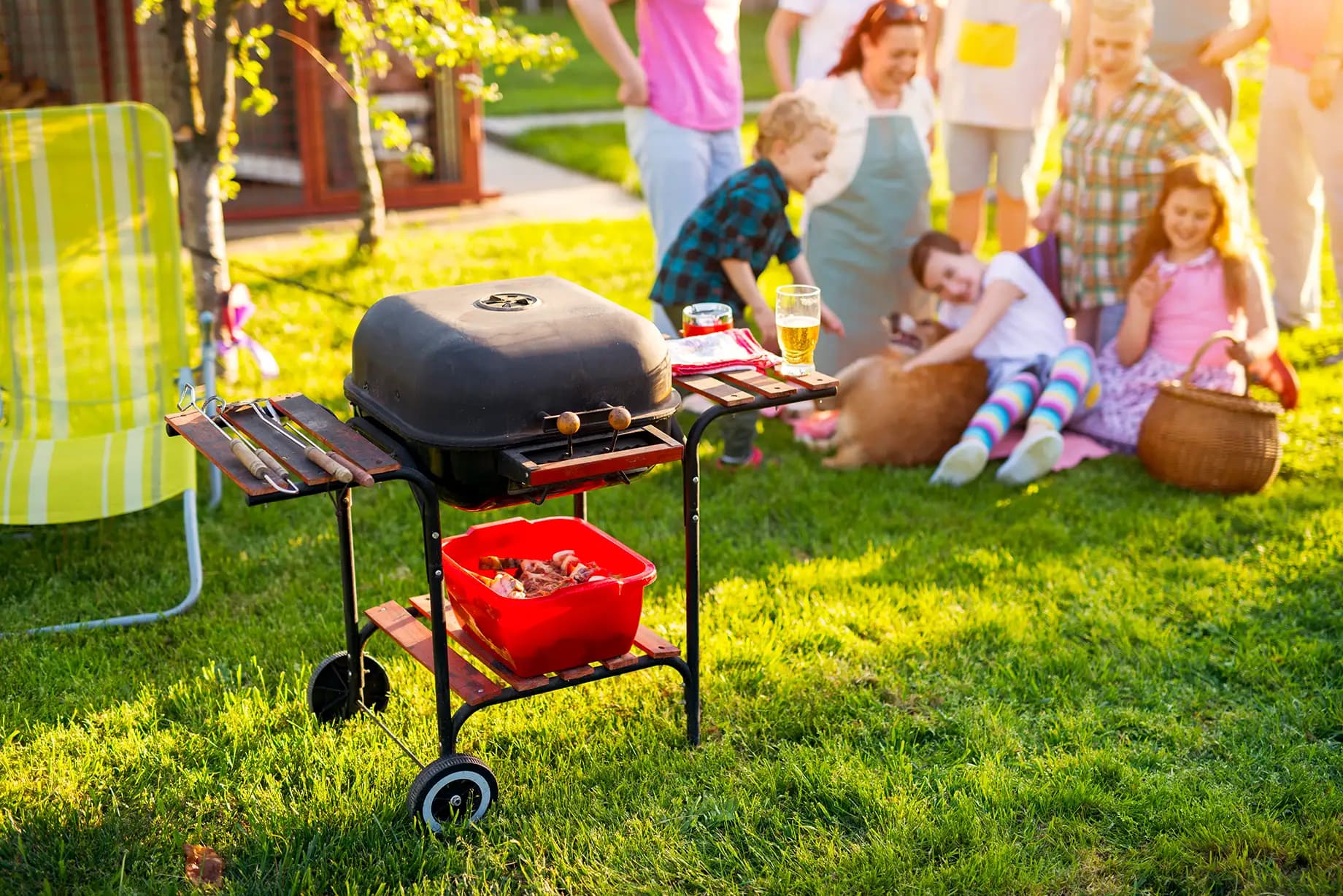 Want A Dog POOP FREE Yard This Spring?