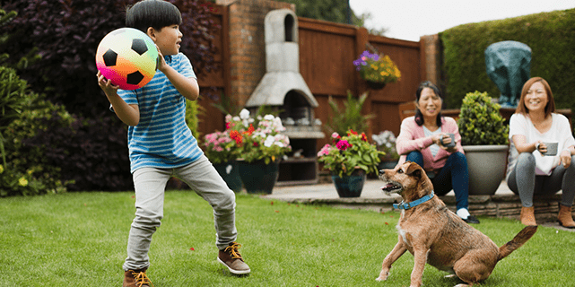 Pet Waste Removal Duvall Wa