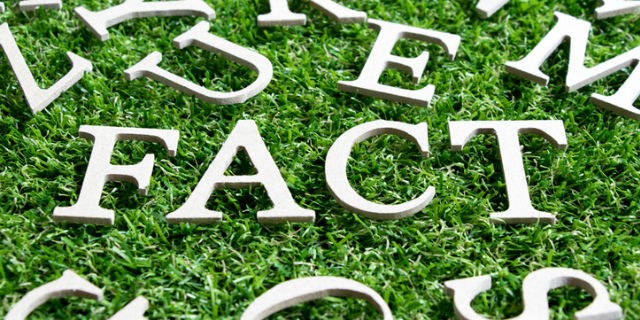 Wood alphabet in wording fact on artificial green grass background stock photo