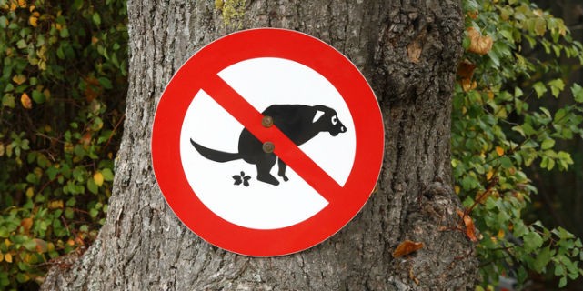 "No dog poop" sign on tree
