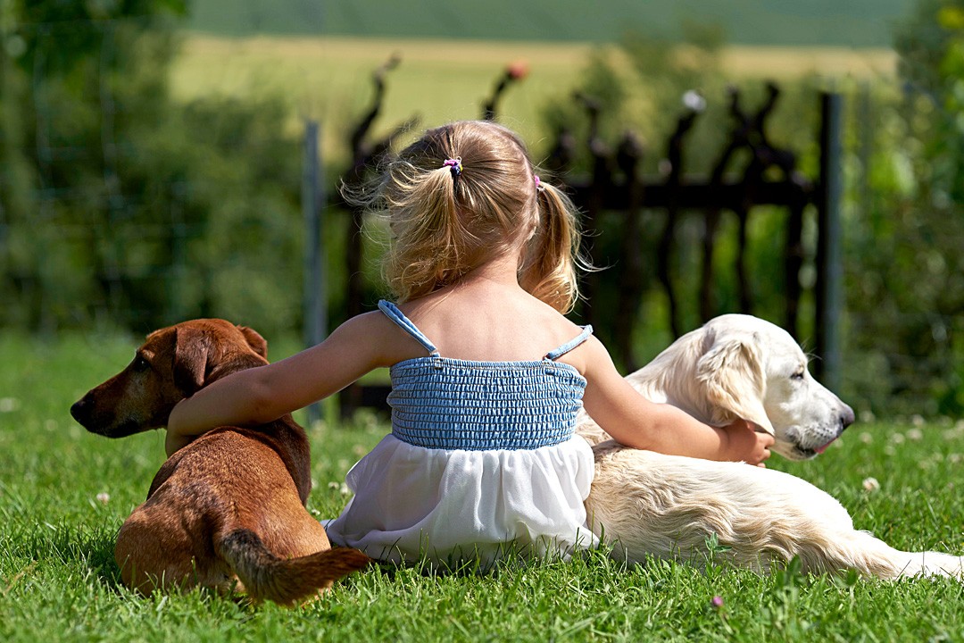 Dogs and kids blog article featuring little girl and her dogs hanging out together in the yard.