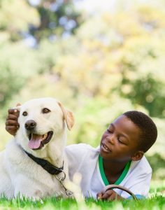 Dogs and kids blog article with a little boy and his dog hanging out together in the yard.