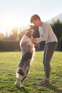 Springtime Tips for Dog Owners laughing and playing with their dog on a beautiful spring day.