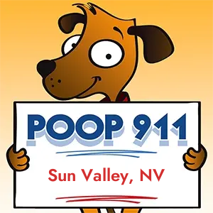 Sun Valley, NV Pooper Scooper Service
